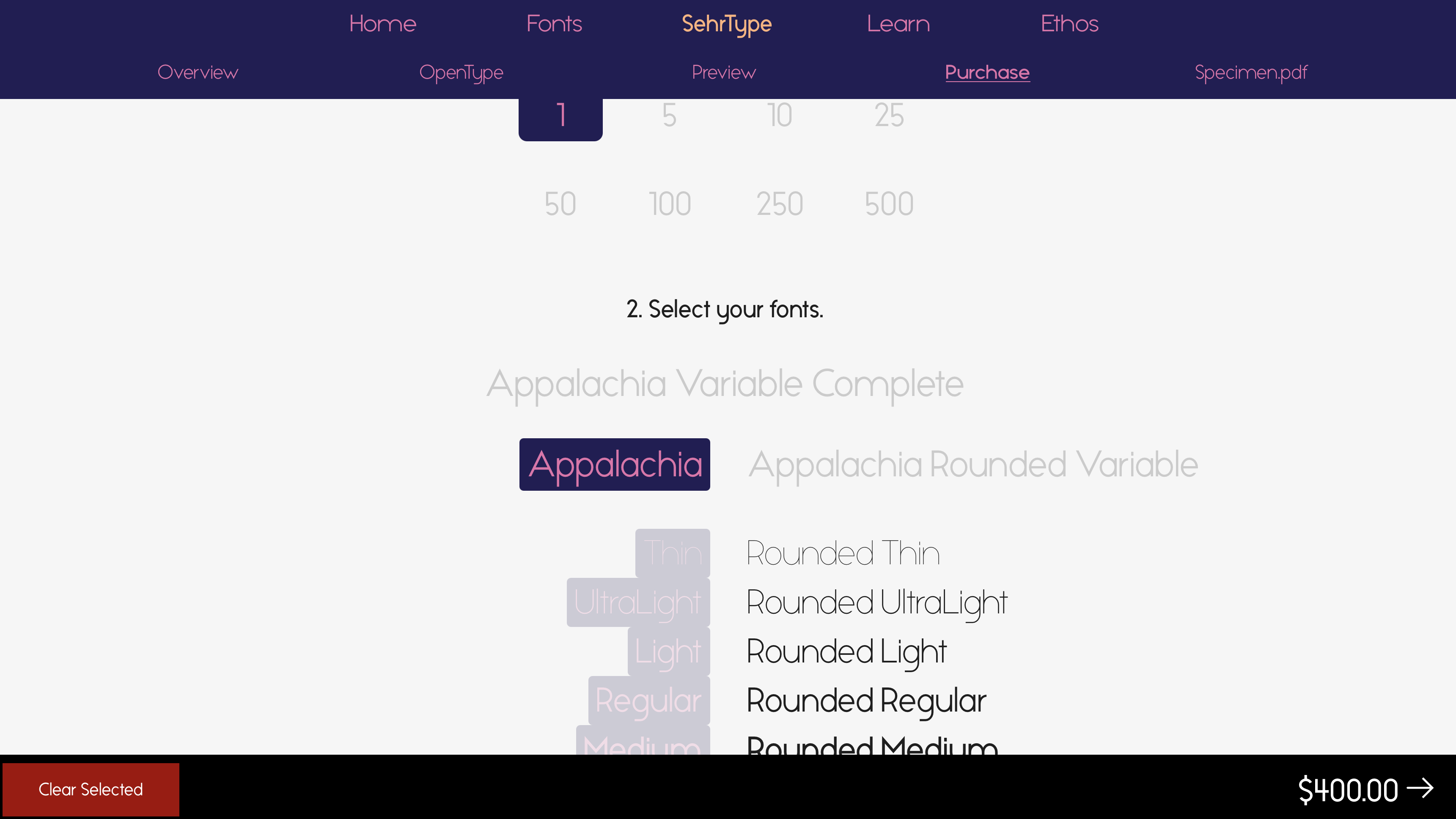 Storefront project preview