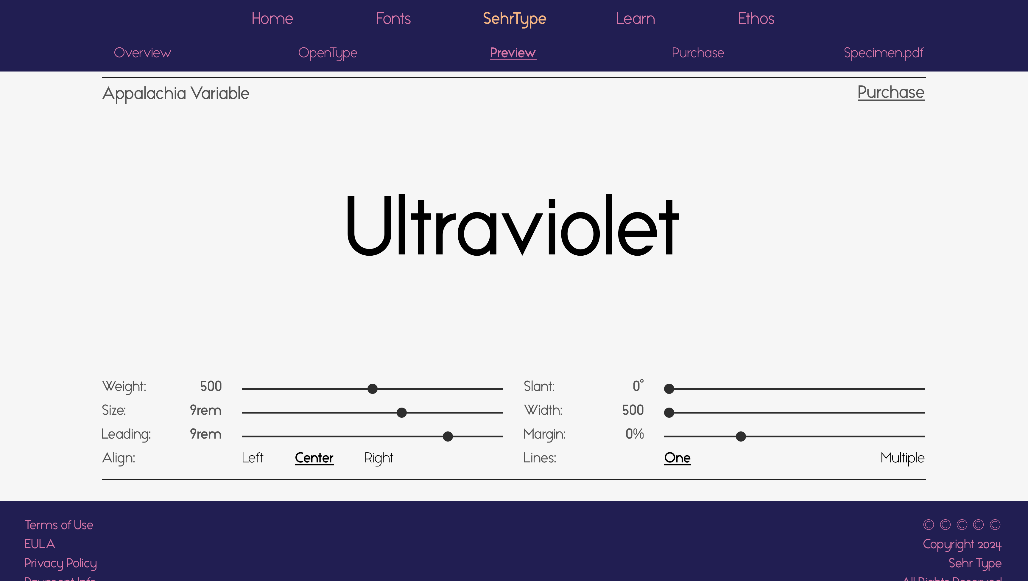 Word processor project preview